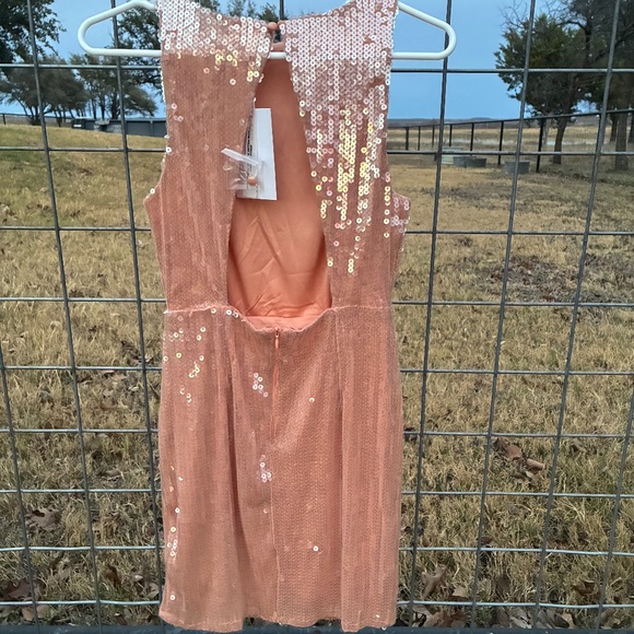 AURORA GLITZ SEQUIN MINI DRESS PINK  (Brand new homecoming dress) - Picture 4 of 9